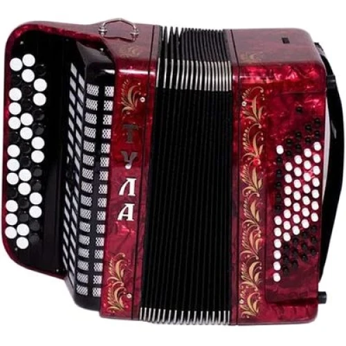 БАЯН ученический детский двухголосный «ТУЛА» 40х60-II БН – 42 - фото1