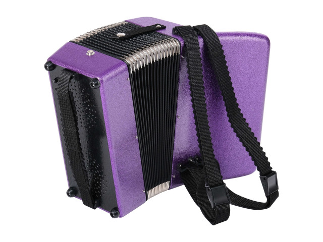 Weltmeister Kinderakkordeon 22/II/12/II фото-4 Weltmeister Kinderakkordeon 22/II/12/II фото-4