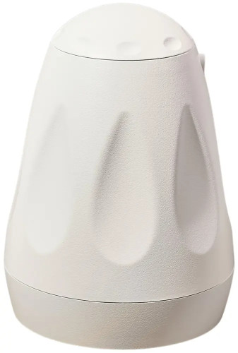 SVS Audiotechnik BWS-60W - фото1