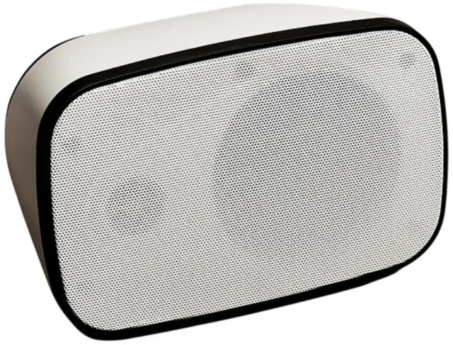 SVS Audiotechnik PAF-4W Pro - фото2