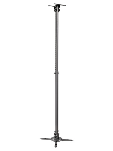 Wize WPD-S - фото1 Wize WPD-S - фото1