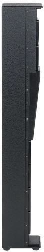 DS Proaudio PLR TOP II фото-7