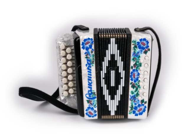 Шуйская гармонь S20XL-C-WH Гармонь "Ромашка" 15х12-I Белая Палехская роспись фото-2