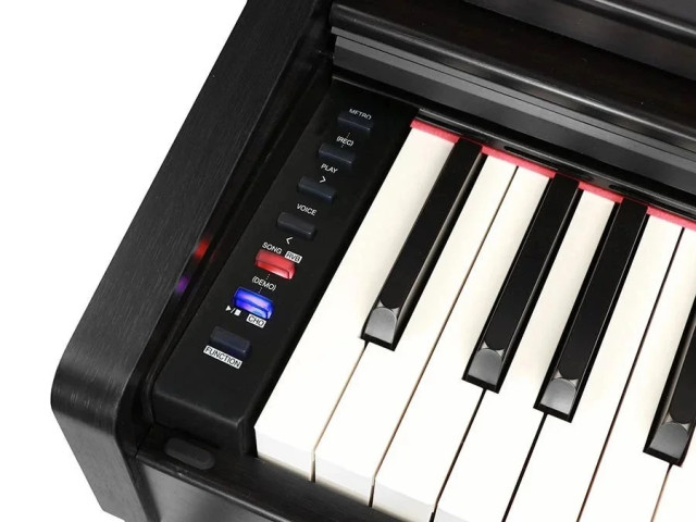 Medeli DP280K-BK фото-3