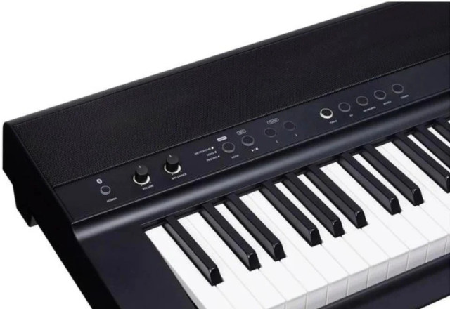 Medeli SP201plus-BK фото-2