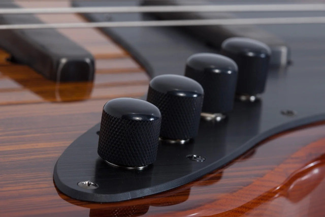 Schecter J-4 EXOTIC FVSB фото-7