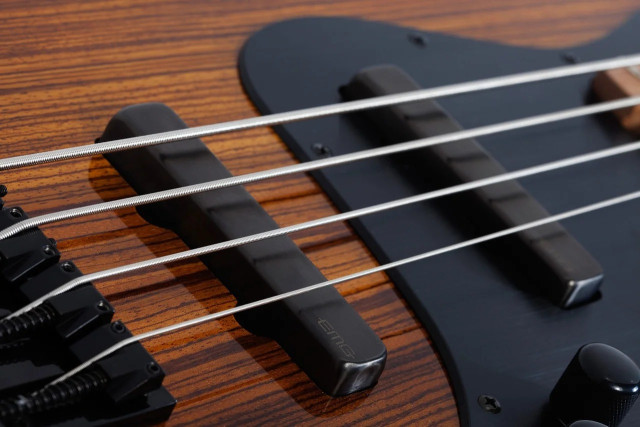 Schecter J-4 EXOTIC FVSB фото-8