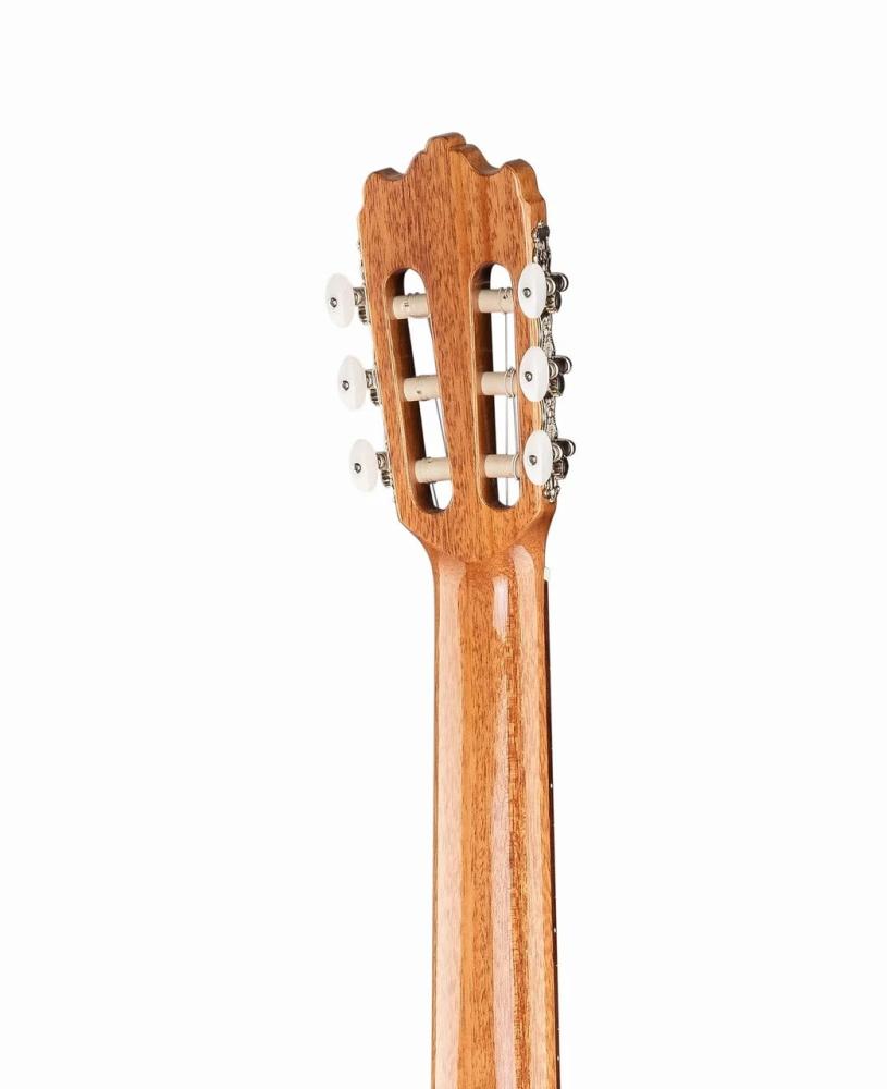 Alhambra 6.856 Cutaway 3C CT фото-6
