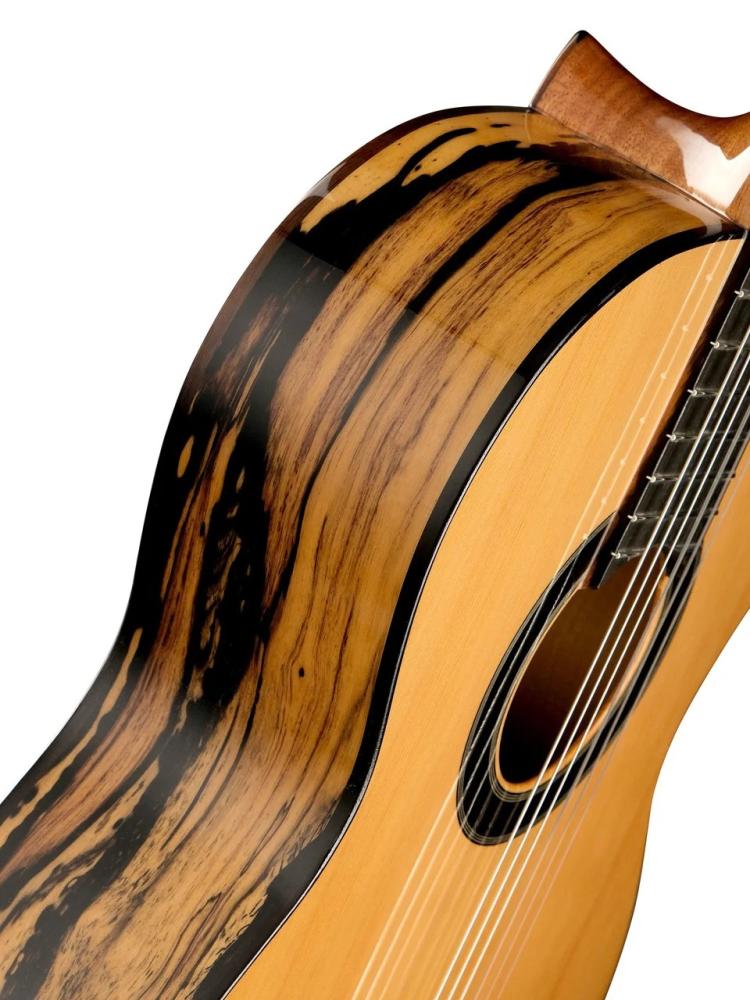 Alhambra 8.891V Classical Conservatory 6 White Ebony фото-7