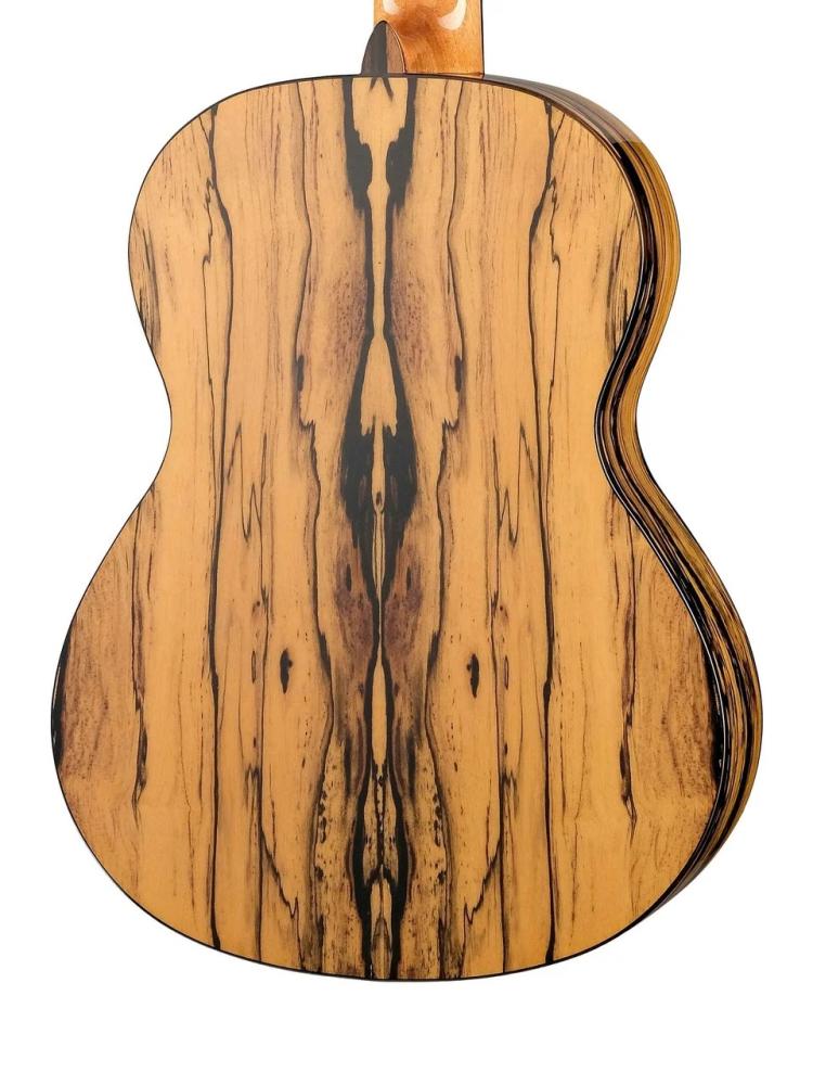 Alhambra 8.891V Classical Conservatory 6 White Ebony фото-4