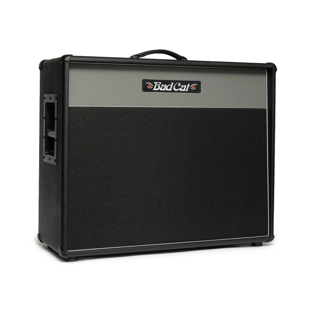 Bad Cat Era 2x12 Extension Cab Open Back фото-2