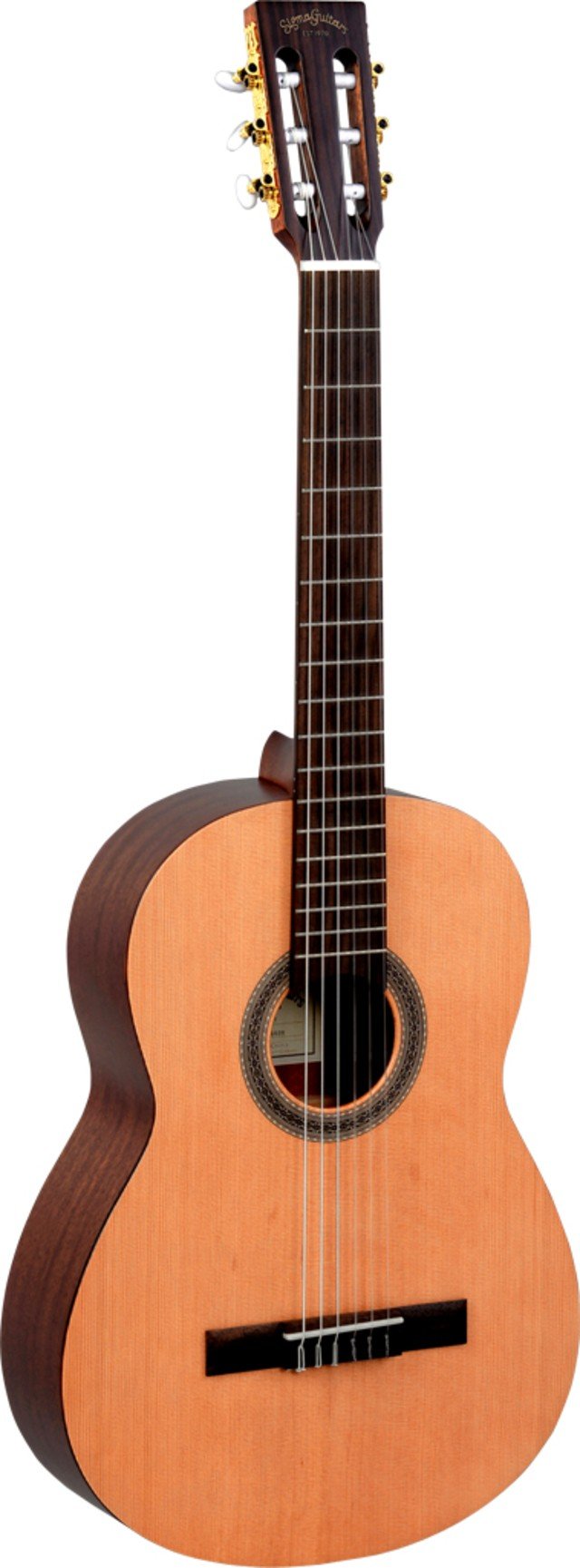 Акустическая гитара Sigma CM-ST