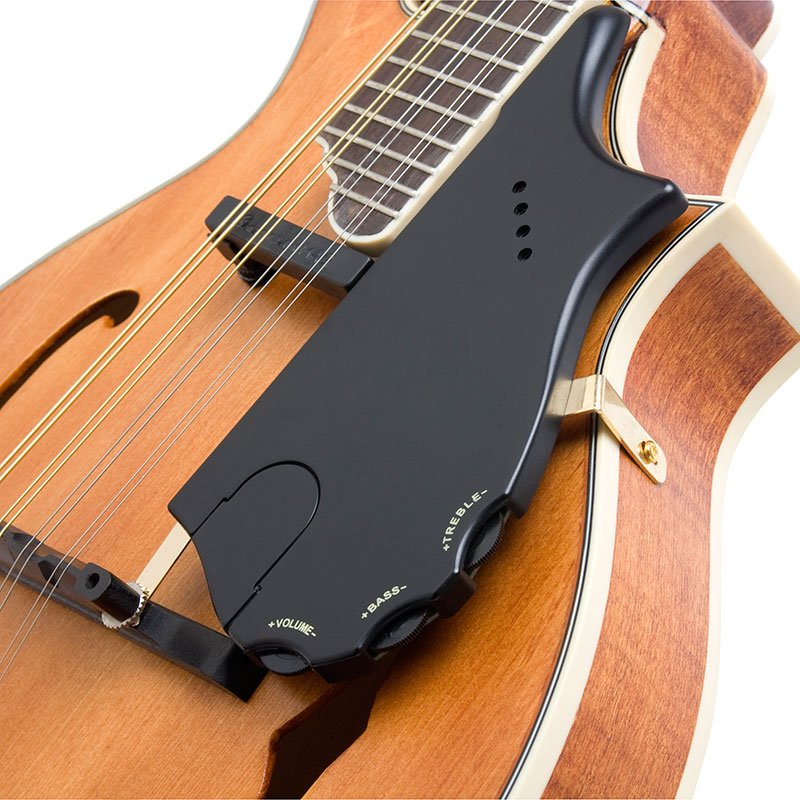Акустическая гитара Epiphone Mm-50e Electric Mandolin