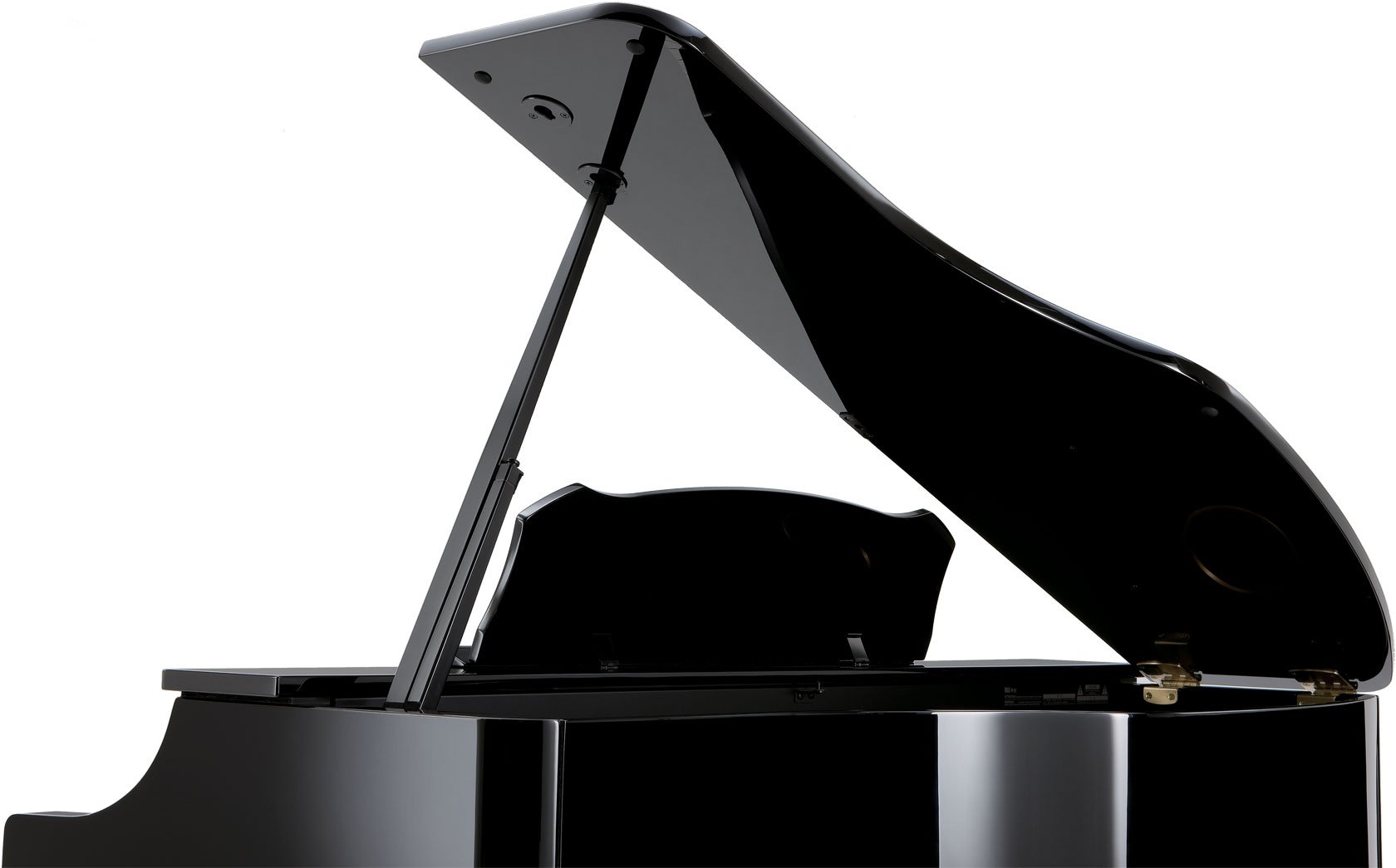 Цифровое фортепиано Roland RG-3F-PE